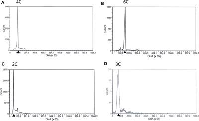 Structural Abnormalities of Spermatozoa in Triploid Gynogenetic Crucian Carp (Carassius auratus)